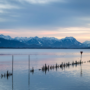 The Magic of Winter at Lake Bodensee: A Serene Escape